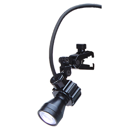 L2S15 bulb closeup